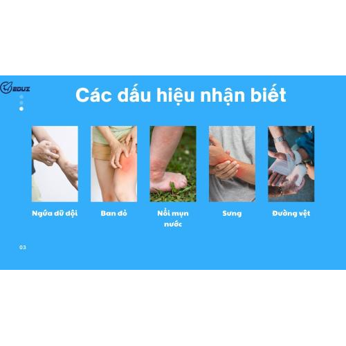 3. Dấu hiệu nhận biết